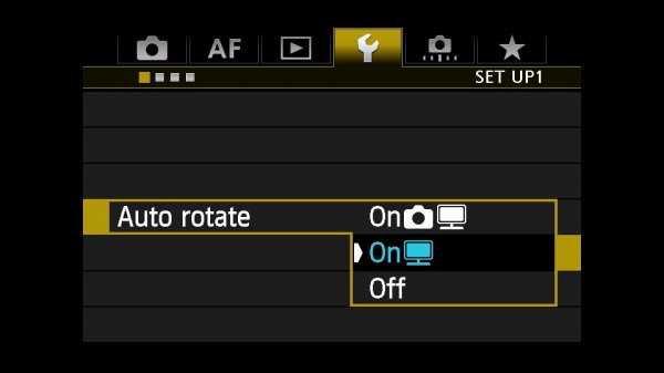 Auto rotate - computer only