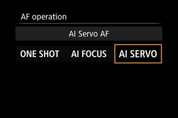 birds-in-flight - set AI Servo AF