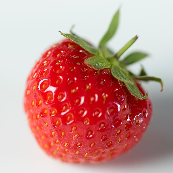 focus stacking - shot 2