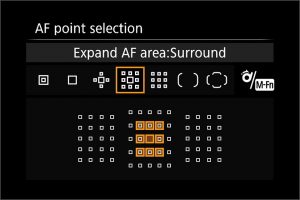 AF areas_EOS 7D2