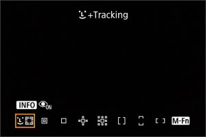 AF methods_EOS R6