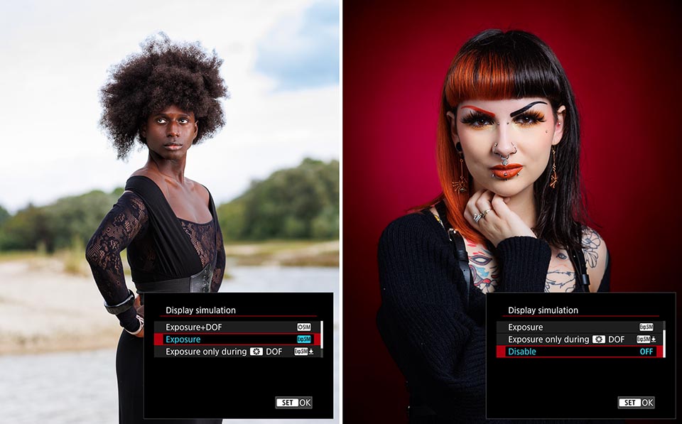 Which exposure or display simulation settings should you use?