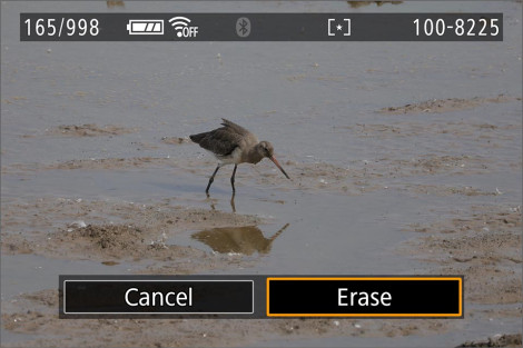 Brian's 2023 advent calendar of EOS camera tips and info